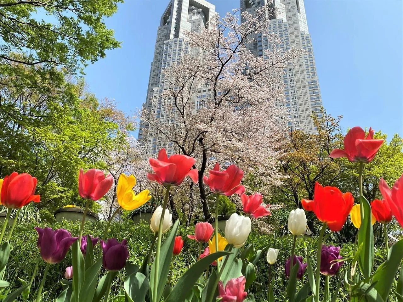 Apa Hotel Shinjuku Kabukicho Chuo Tokyo
