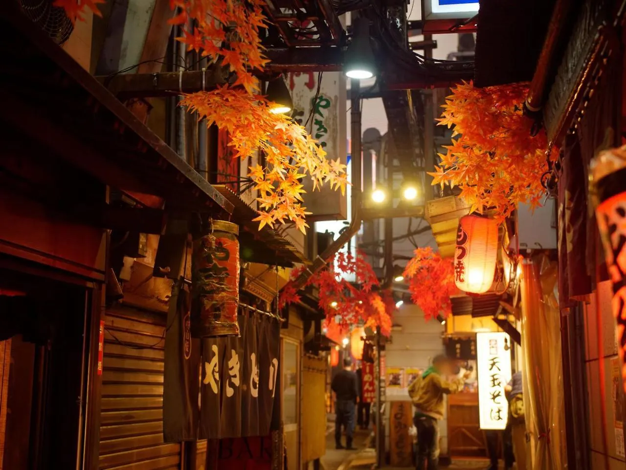 APA Hotel Shinjuku Kabukicho Chuo Tokyo 3*,  Japan